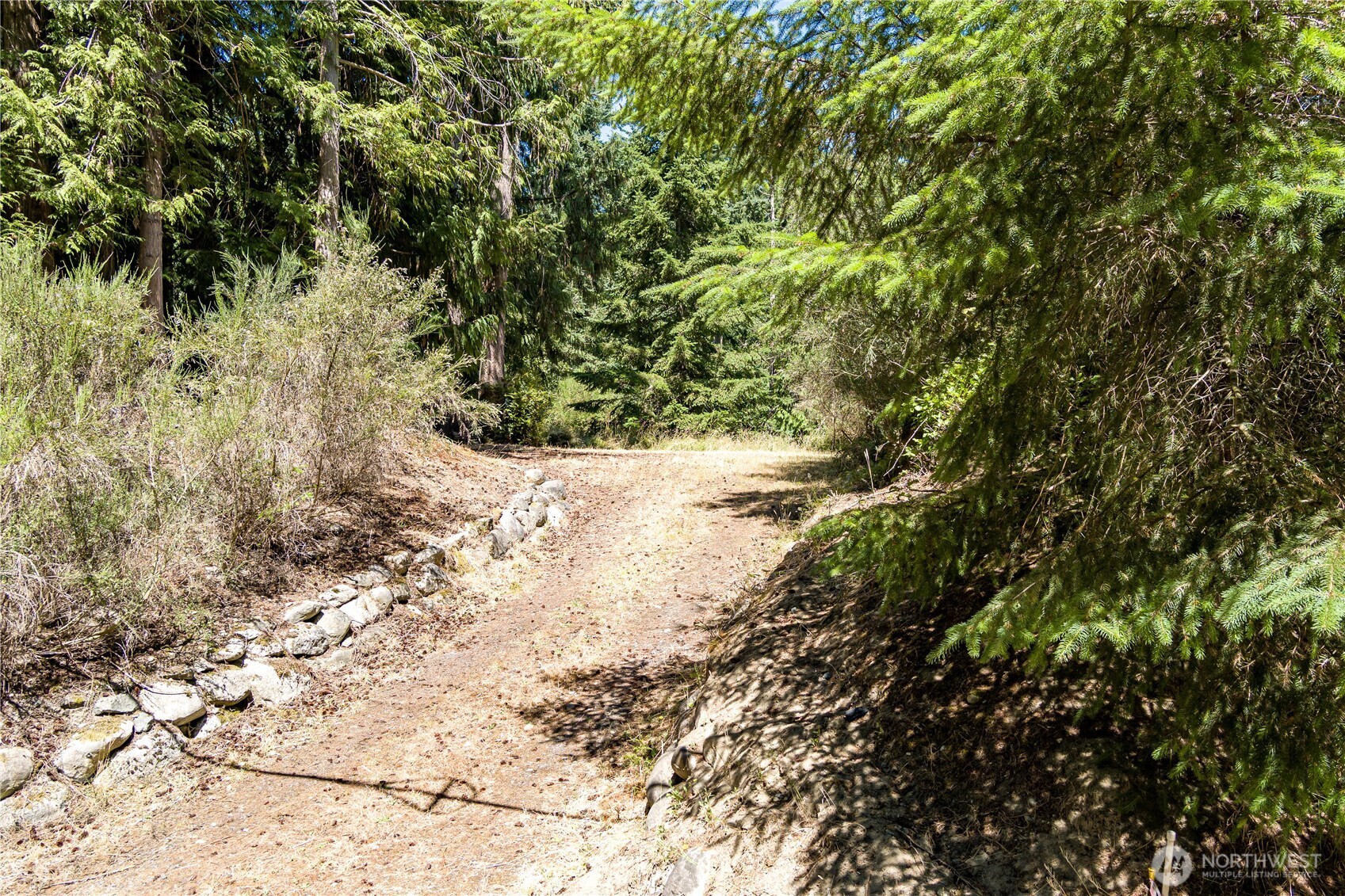 -xxx Sandy Point Road Langley, WA 98260 - Photo 6 of 17 a view of a yard with plants and tree