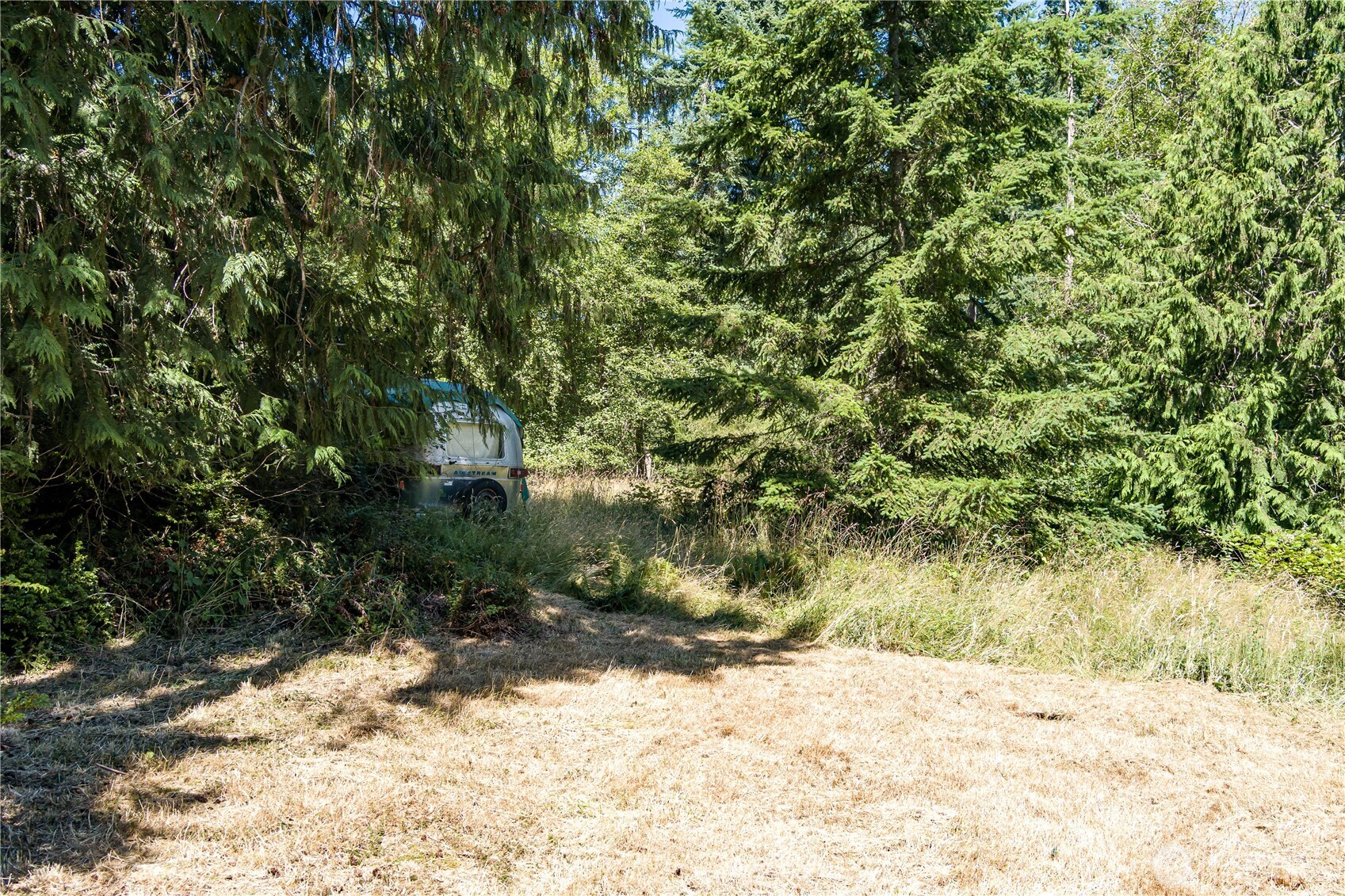 -xxx Sandy Point Road Langley, WA 98260 - Photo 8 of 17 a view of a yard with a tree