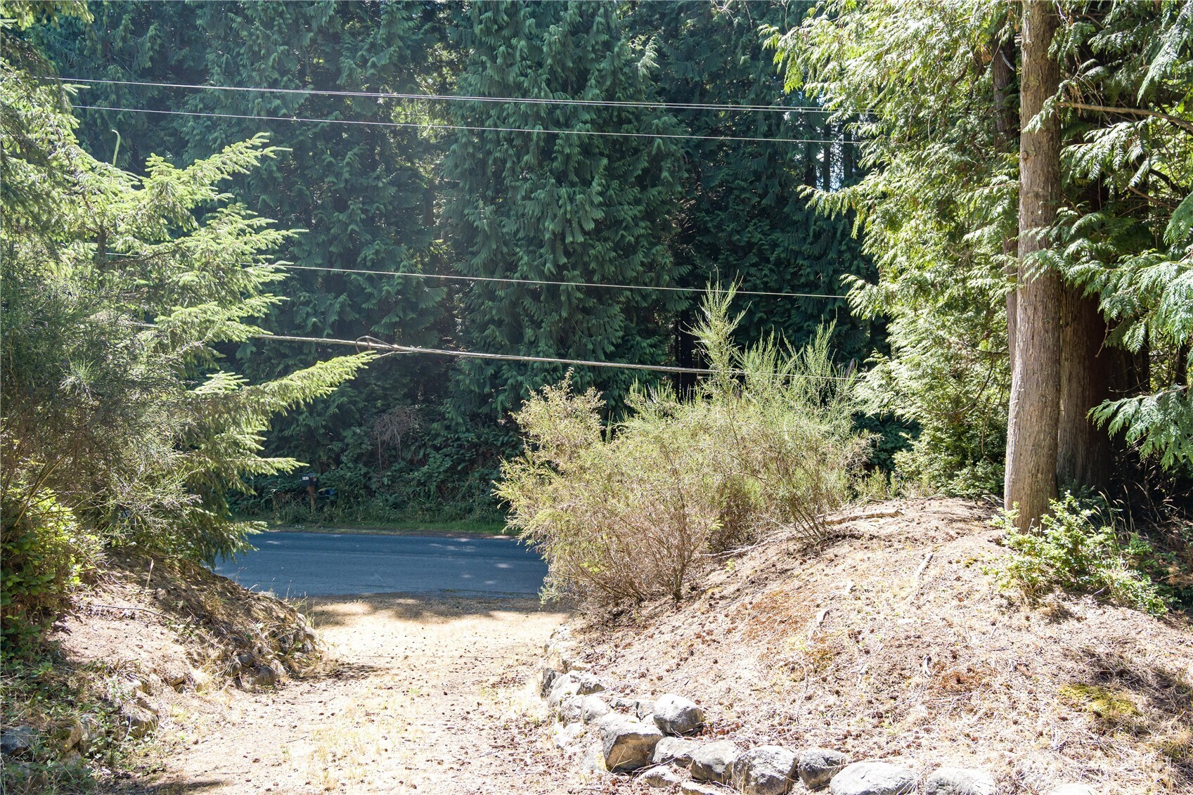 -xxx Sandy Point Road Langley, WA 98260 - Photo 9 of 17 a view of a yard