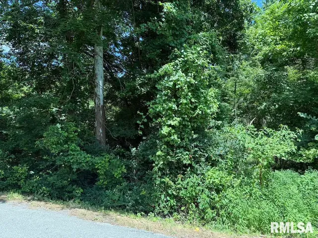 $172,000 | 3126 Vermont Road, Carterville, IL 62918