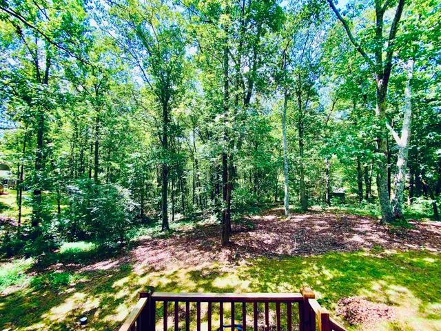 a view of an outdoor space