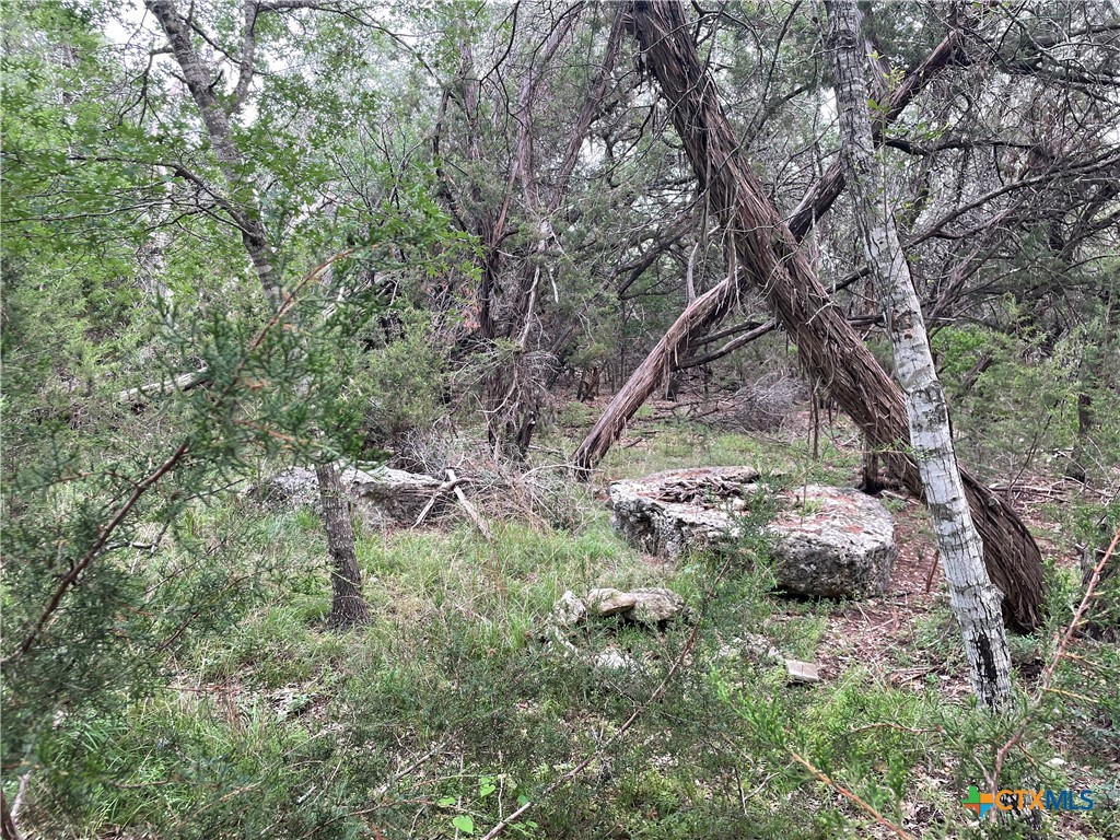 1021 Santa Fe Trail Spring Branch, TX 78070 - Photo 2 of 5