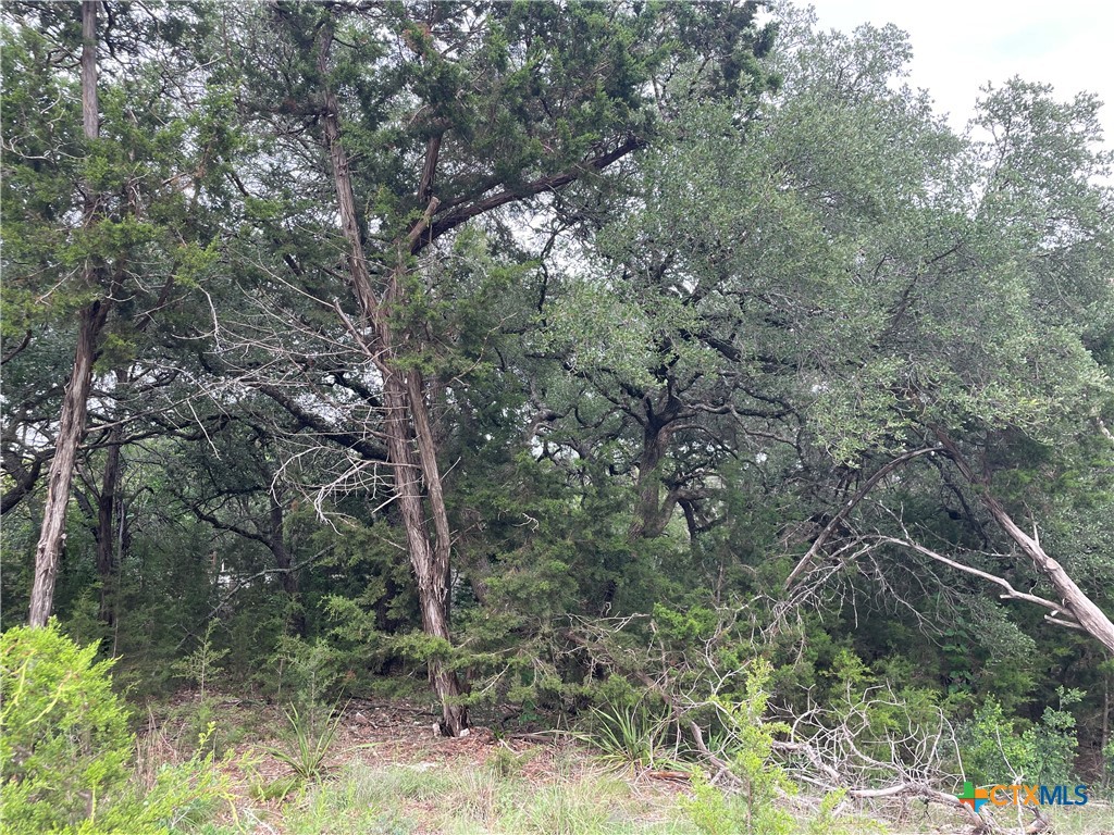 1021 Santa Fe Trail Spring Branch, TX 78070 - Photo 3 of 5