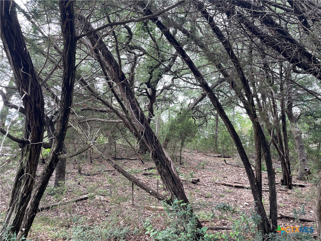 1021 Santa Fe Trail Spring Branch, TX 78070 - Photo 4 of 5