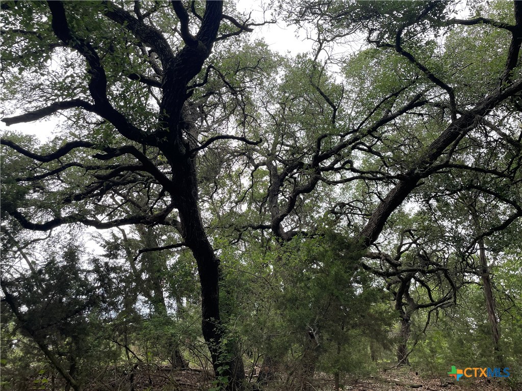 1021 Santa Fe Trail Spring Branch, TX 78070 - Photo 5 of 5