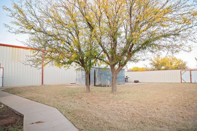 a view of backyard and tree