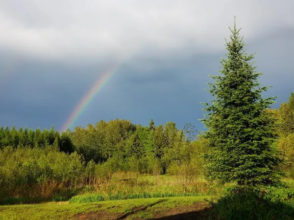 $285,000 | 232 Scenic Estates Drive, Bigfork, MN 56628