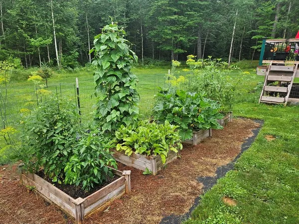 $285,000 | 232 Scenic Estates Drive, Bigfork, MN 56628