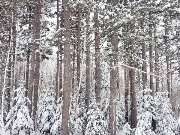 $285,000 | 232 Scenic Estates Drive, Bigfork, MN 56628