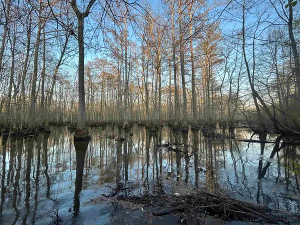 $172,000 | 0 Highway 64 Highway, Bolivar, TN 38008