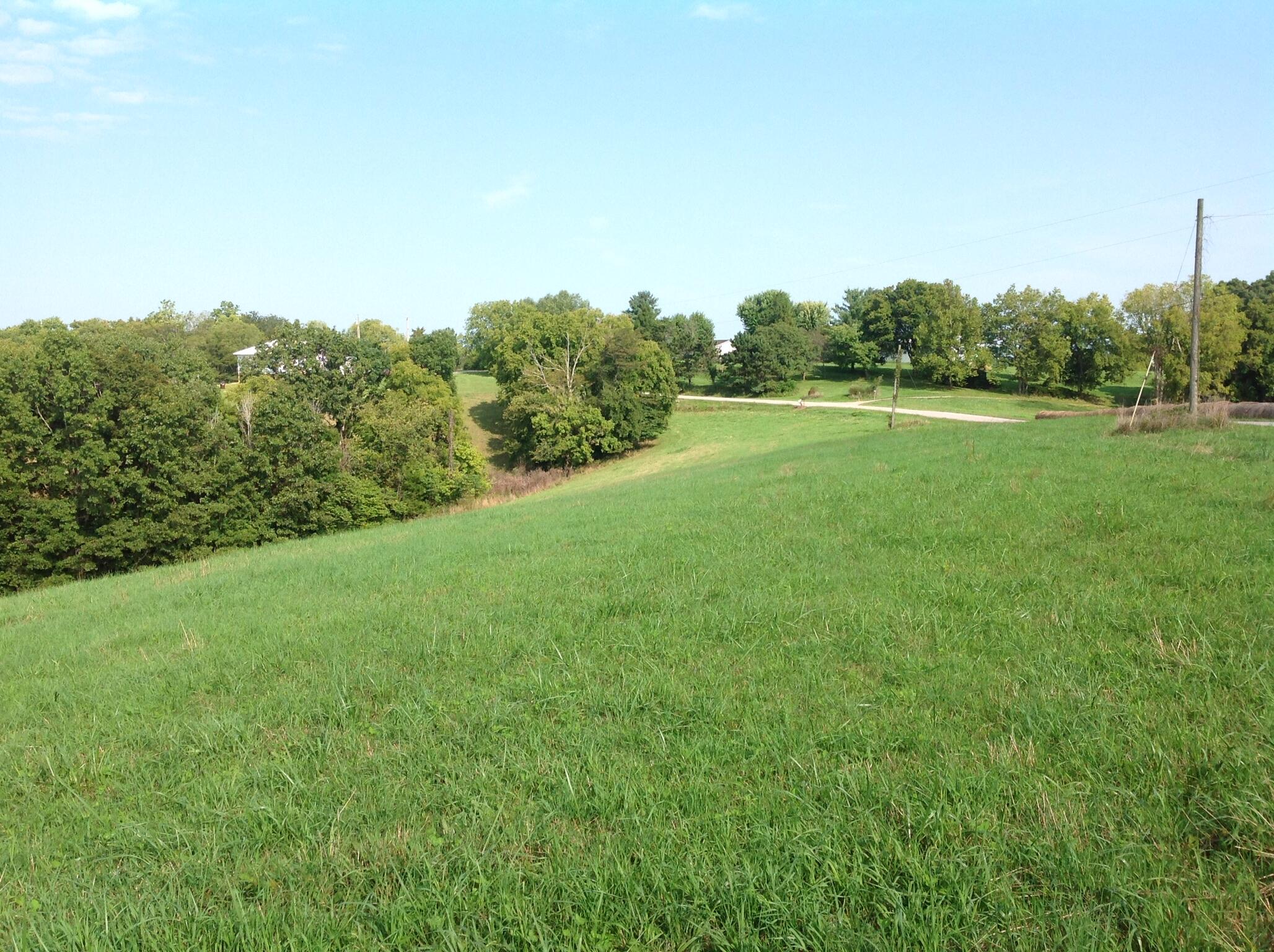 698 Ogden Ridge Road Mount Olivet, KY 41064 - Photo 12 of 12 Gallery Image 12