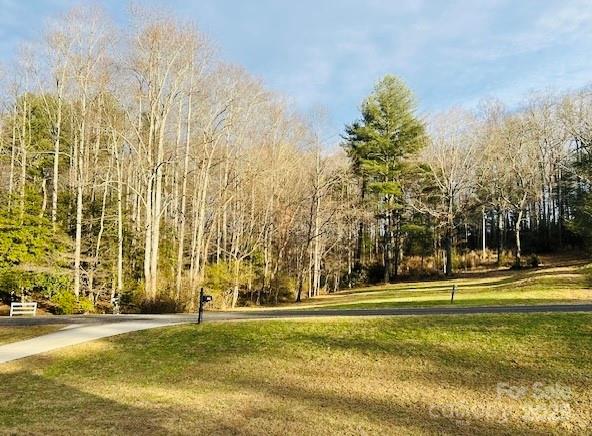 185 Creasman Hill Road Mills River, NC 28759 - Photo 5 of 5 a view of a swimming pool with trees and buildings in the background