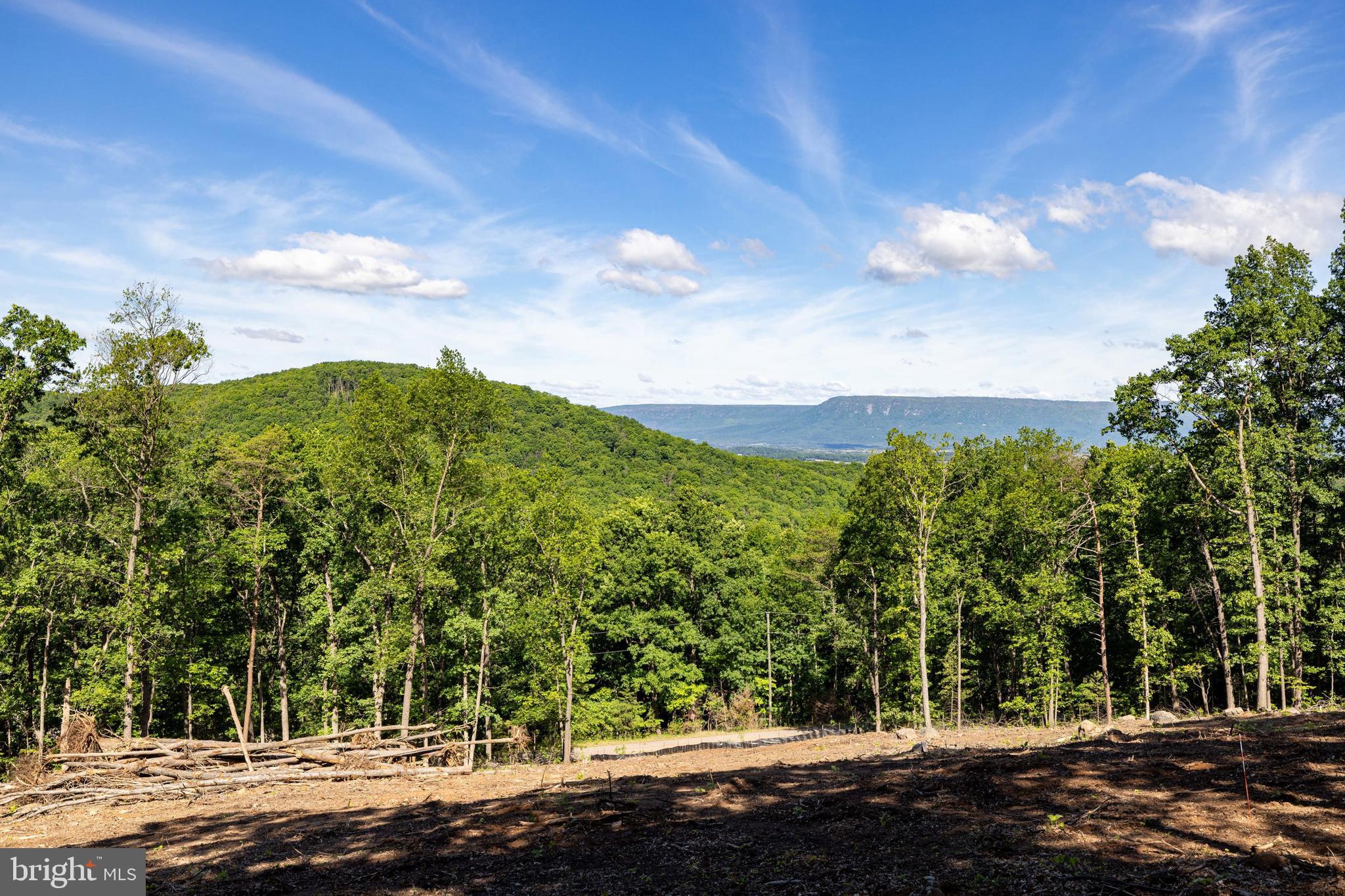0 Cross Mountain Road Luray, VA 22835 - Photo 1 of 51