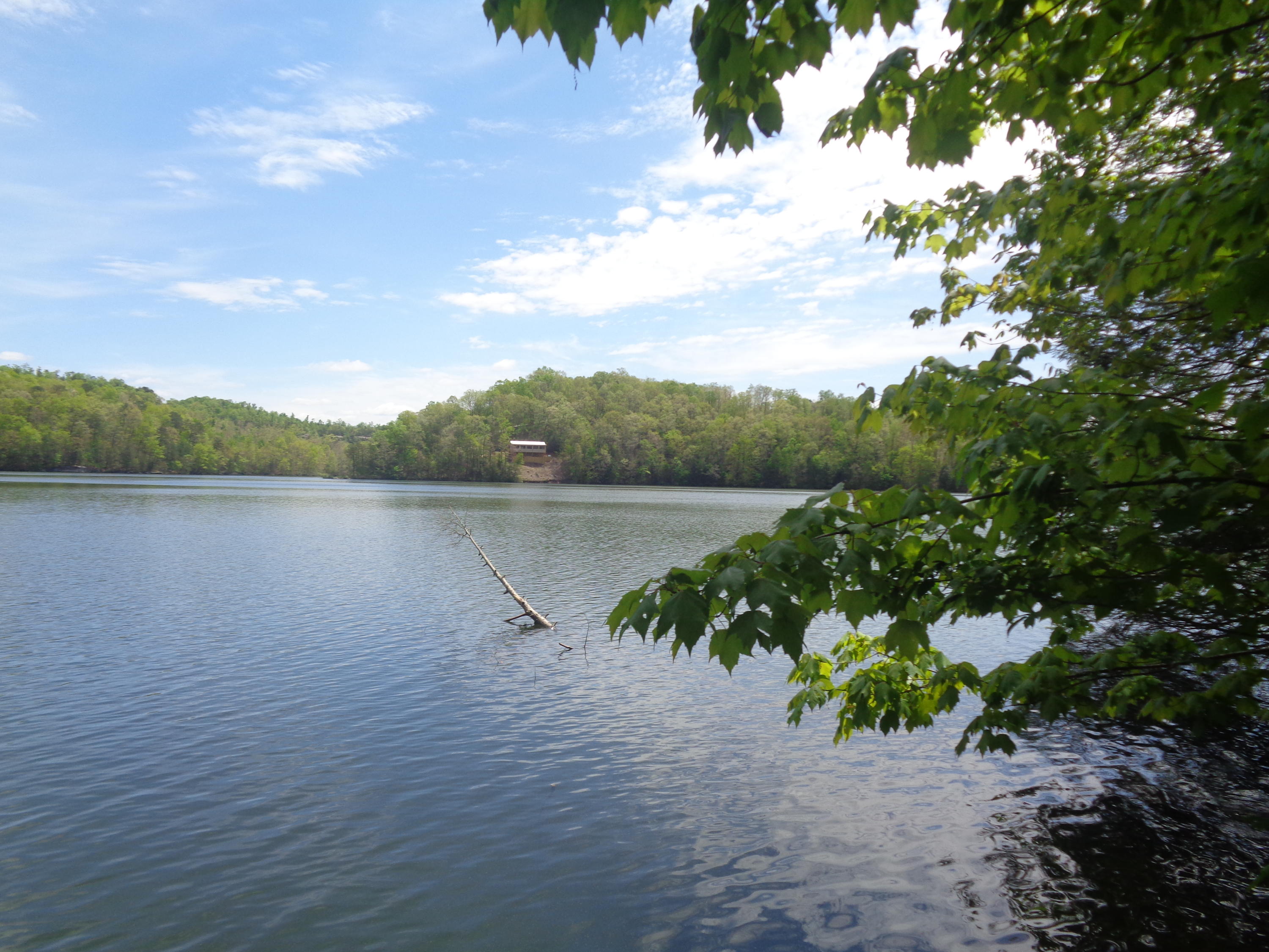 Lot 53 Fount Hubbard Road London, KY 40741 - Photo 1 of 18 DSC04126