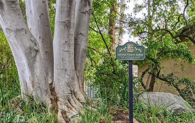 a view of lake with green space