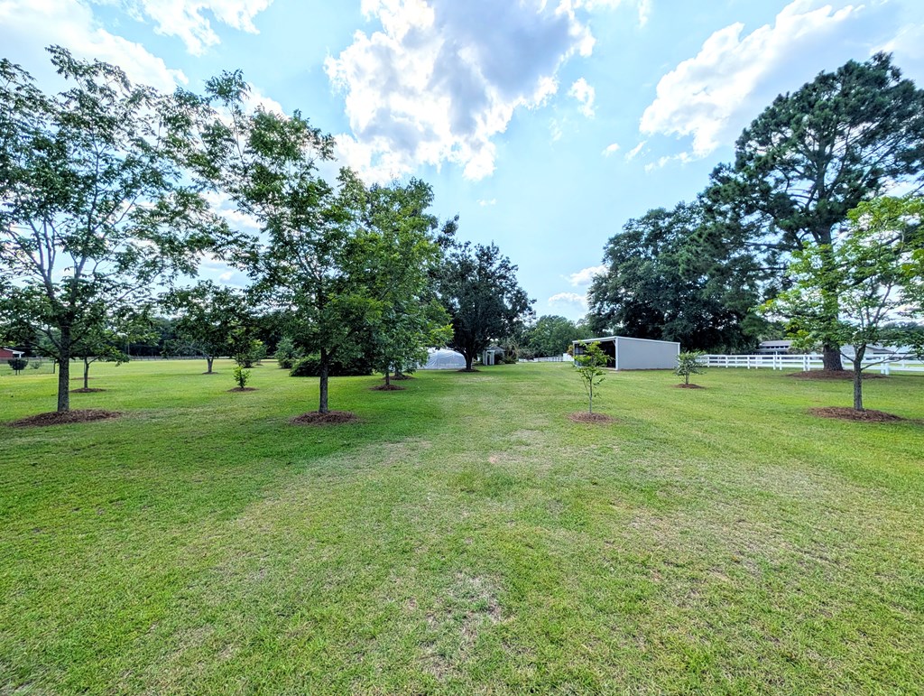 3117 Holland Road Newton, AL 36352 - Photo 51 of 78