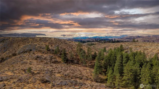 a view of a backyard with green space