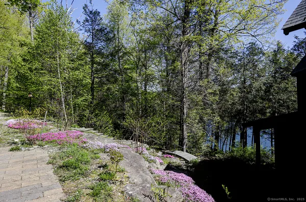 a view of trees and covered with tall trees