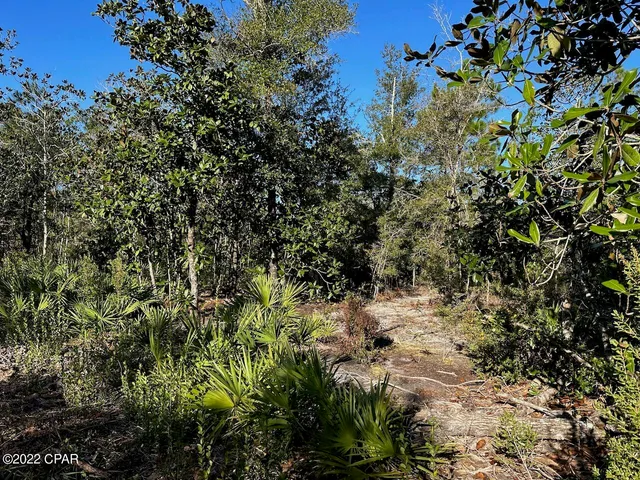 $899,000 | 0 Hwy 77 Southport, Southport, FL 32409