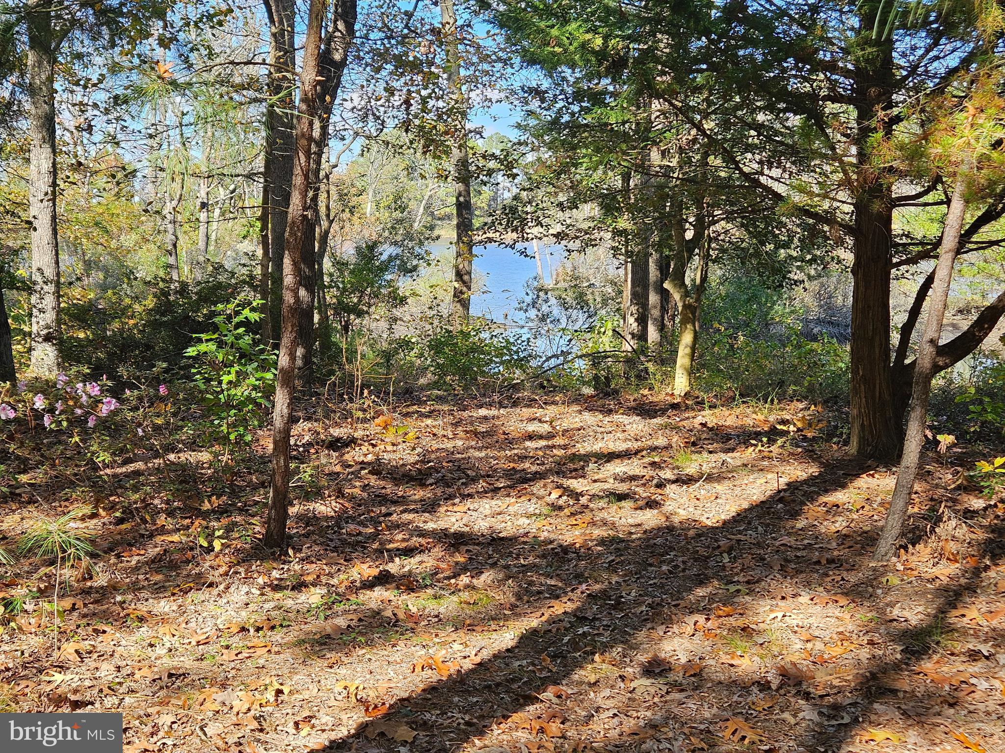 4935 Edmondson Creek Road Preston, MD 21655 - Photo 2 of 10 Gallery Image 2