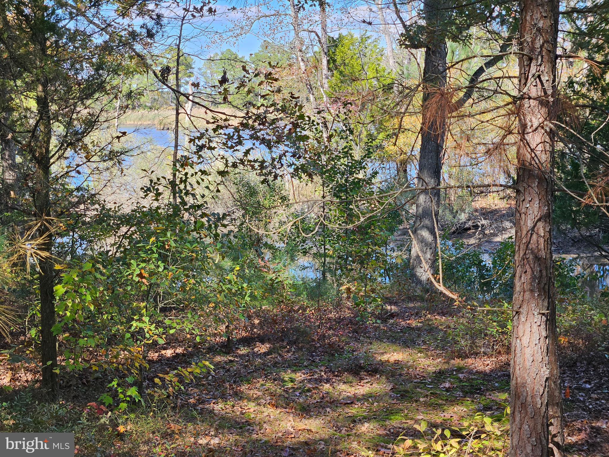 4935 Edmondson Creek Road Preston, MD 21655 - Photo 7 of 10 Gallery Image 7