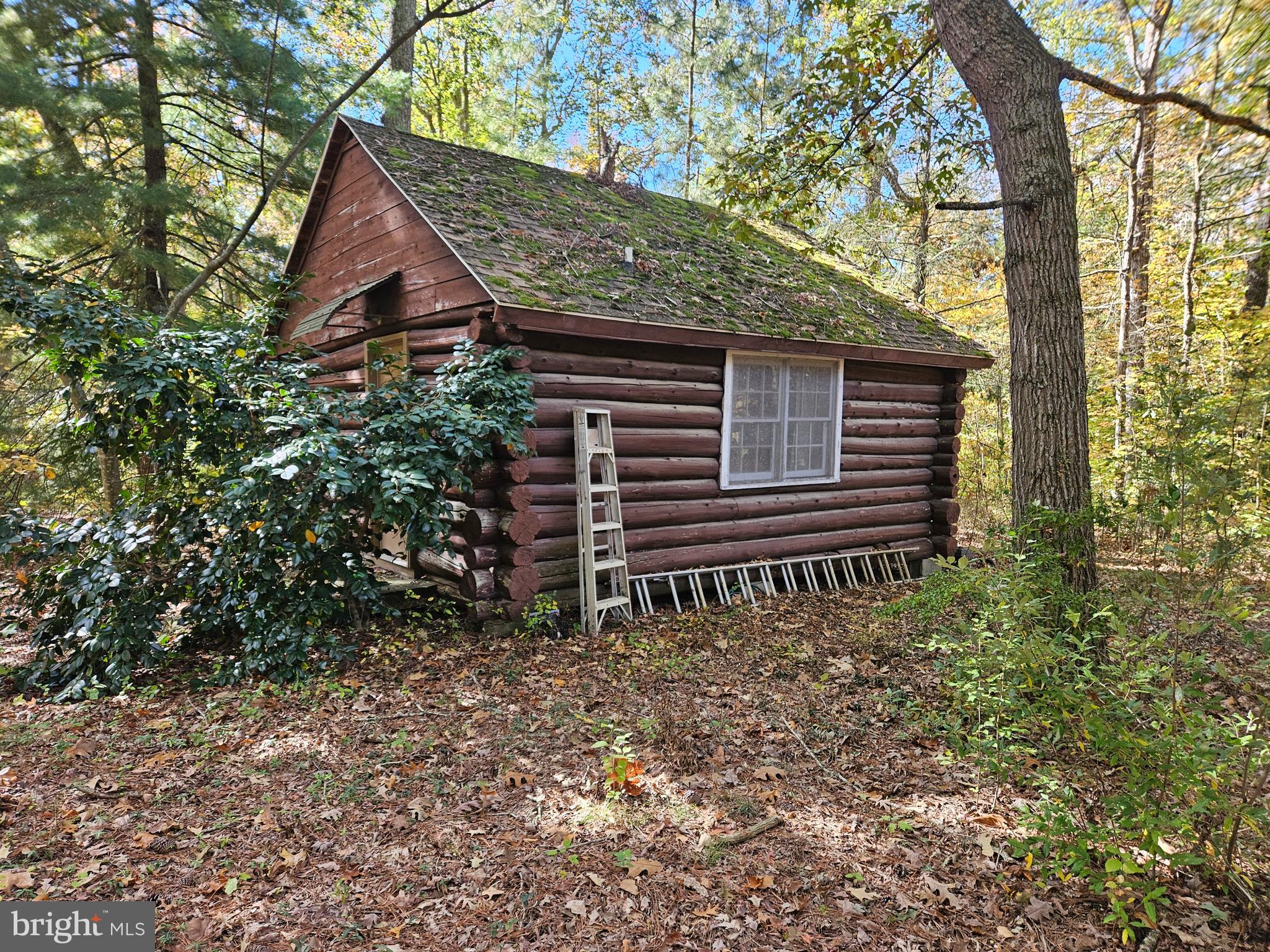 4935 Edmondson Creek Road Preston, MD 21655 - Photo 9 of 10 Gallery Image 9