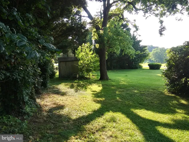 a view of a yard with plants