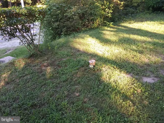 a view of yard from a house