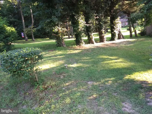 a view of a yard with a trees