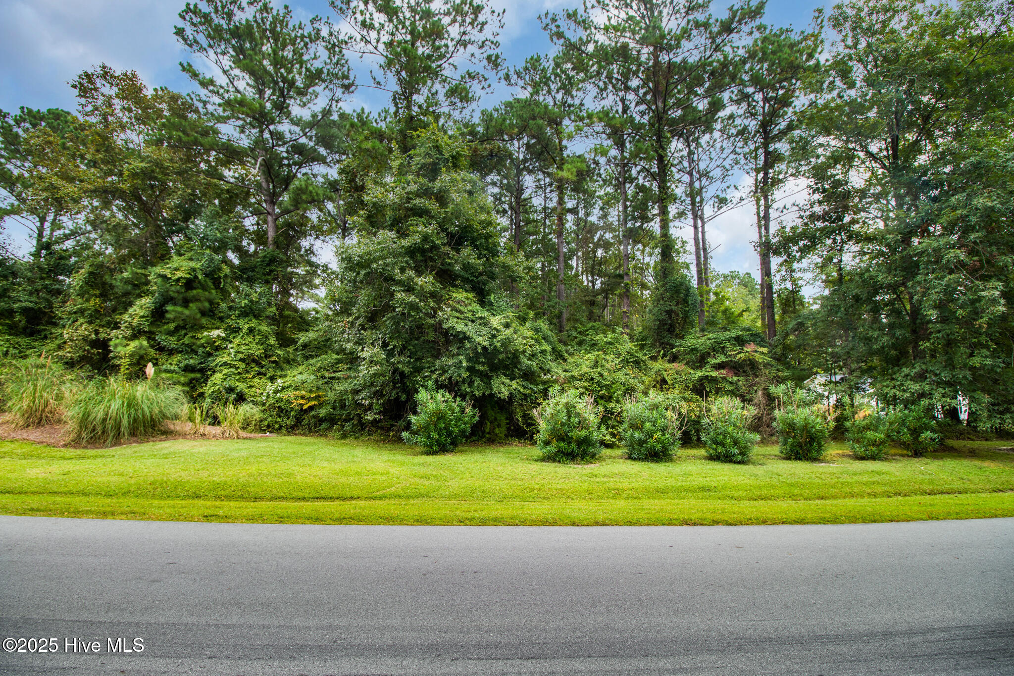 101 Cummins Creek Road Beaufort, NC 28516 - Photo 7 of 20 Corner lot in Jonaquin's Landing