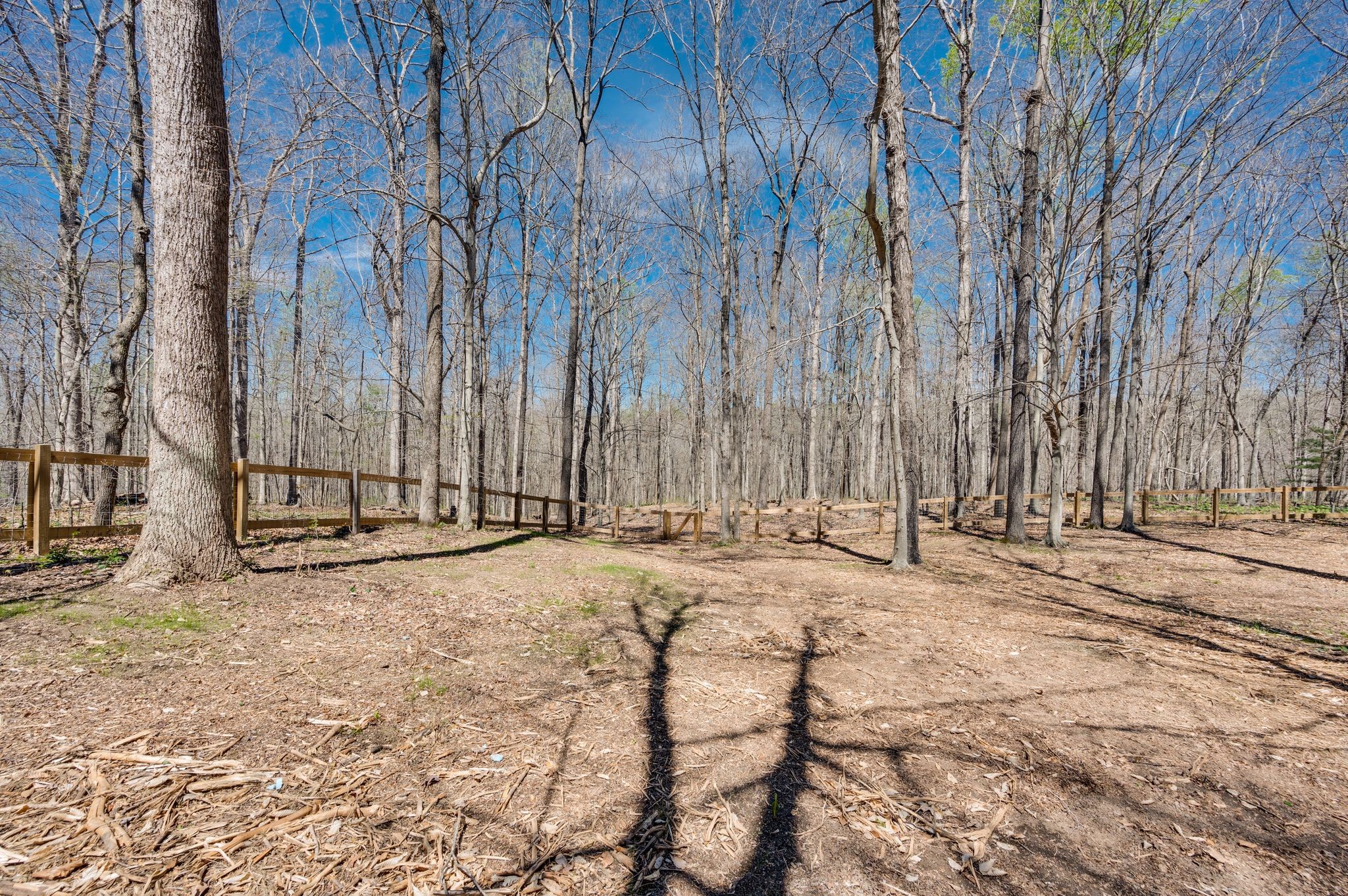 4138 Grays Point Road Joelton, TN 37080 - Photo 63 of 64 Gallery Image 63