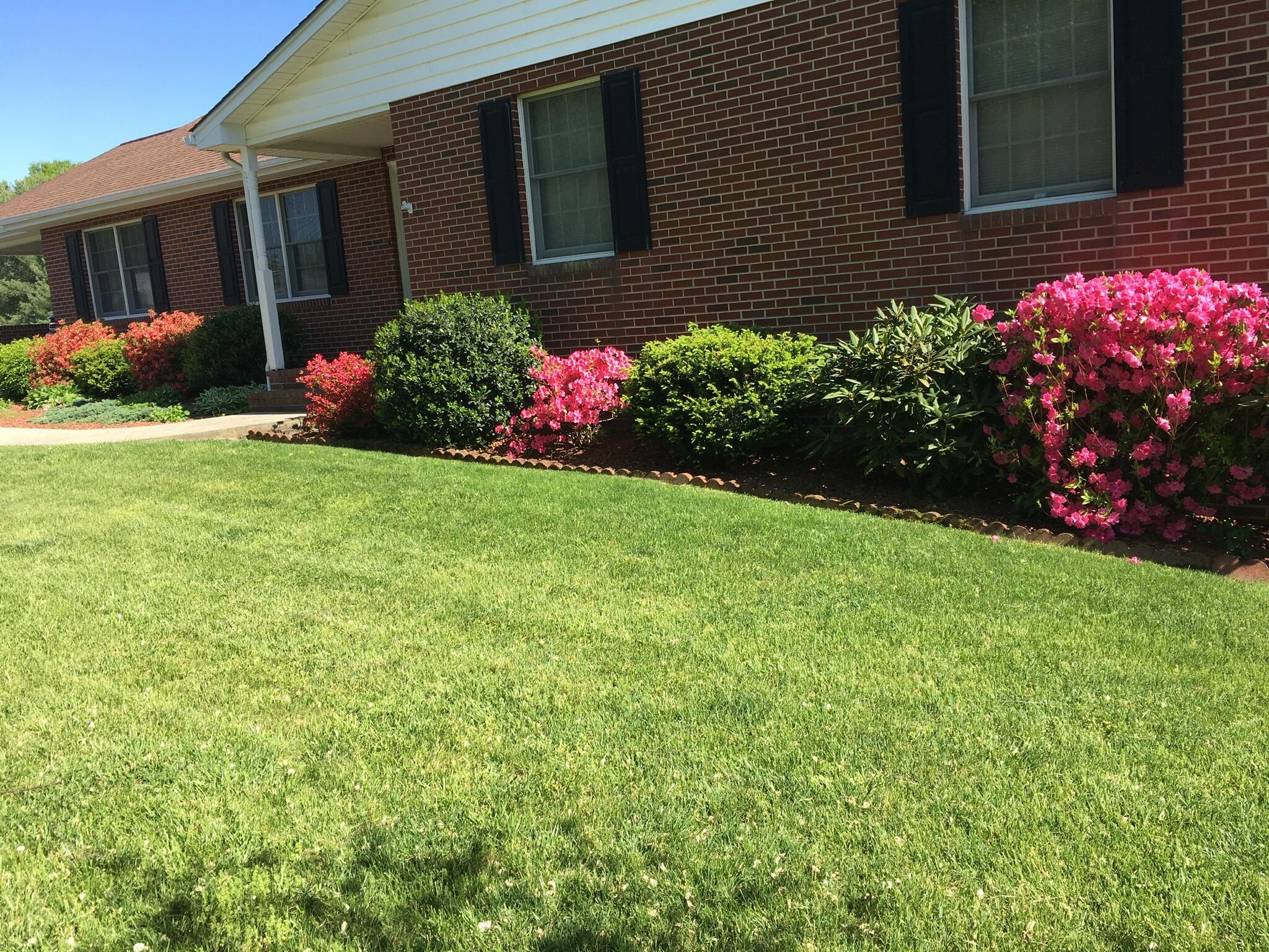 5016 Britaney Road Roanoke, VA 24012 - Photo 2 of 31 Spring Time Blooms