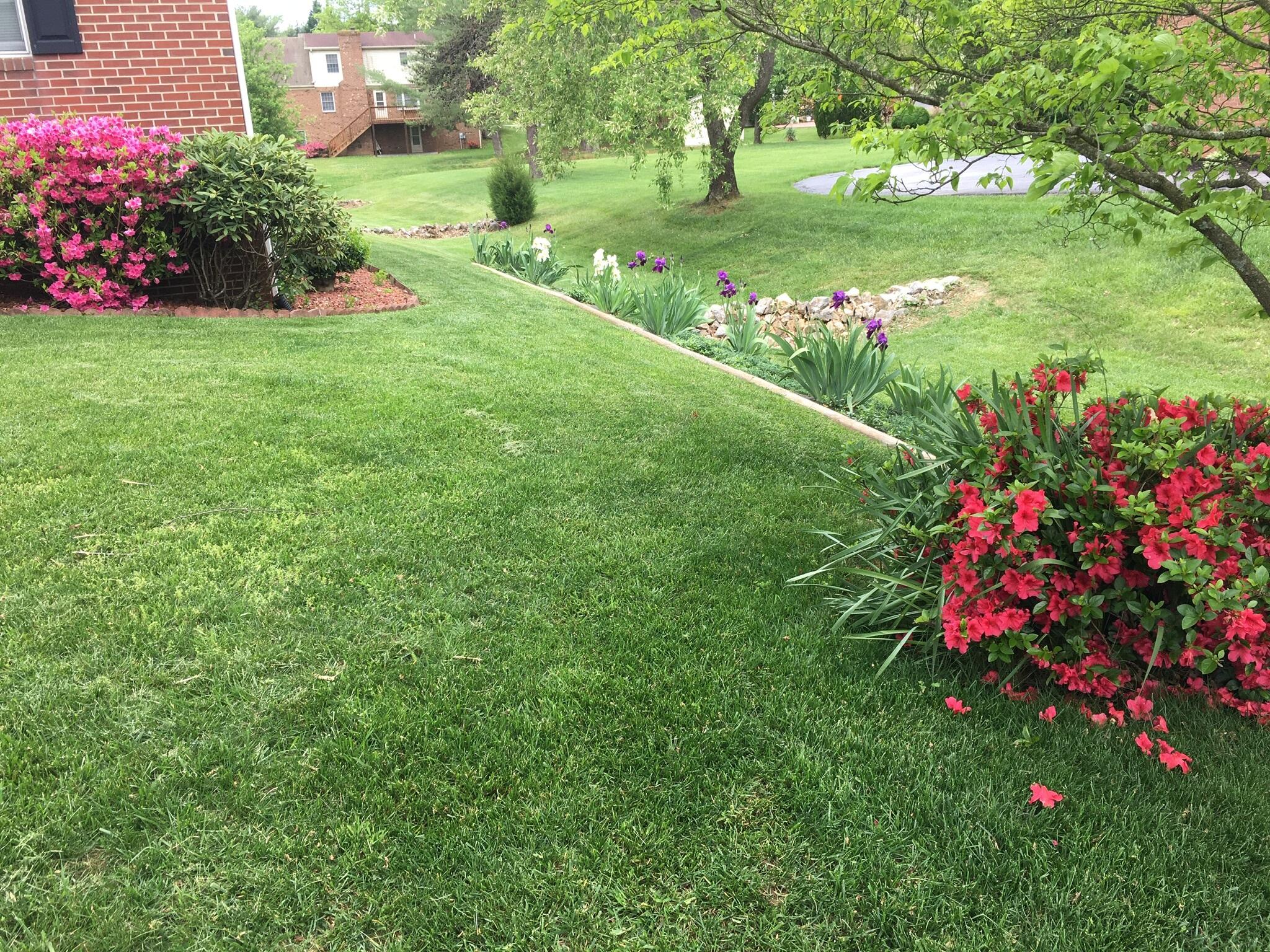 5016 Britaney Road Roanoke, VA 24012 - Photo 28 of 31 Summer Boms
