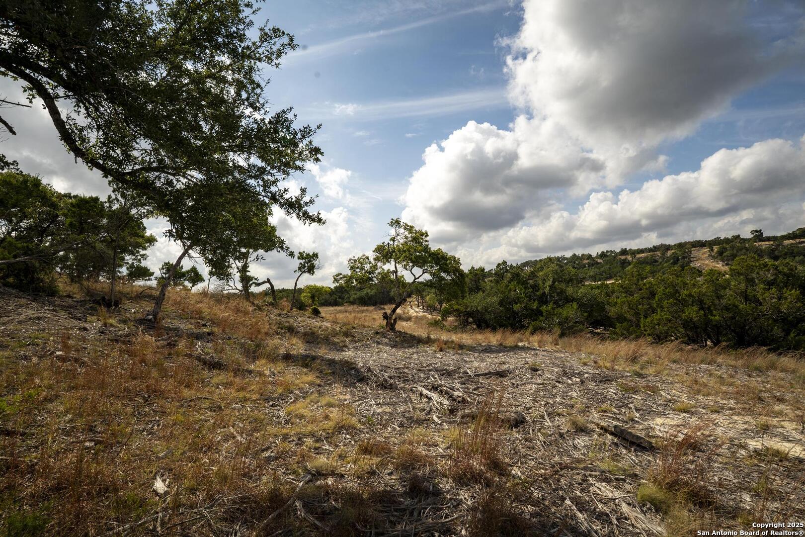 322 Mitchell Drive Spring Branch, TX 78070 - Photo 11 of 31 a view of a dry yard with trees