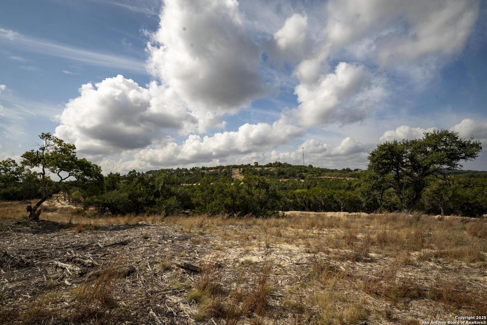 322 Mitchell Drive Spring Branch, TX 78070 - Photo 12 of 31 a view of a lake and mountain