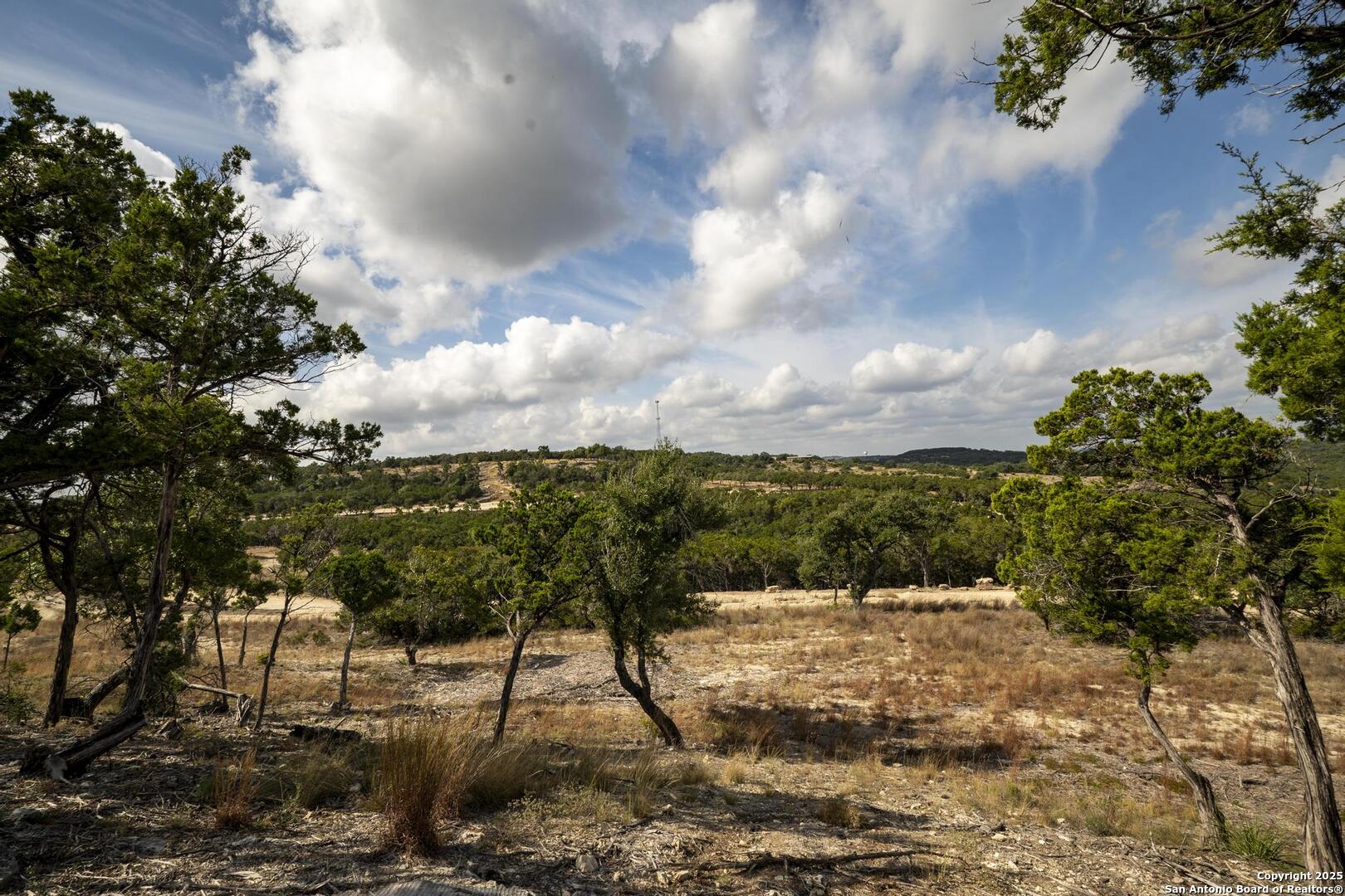 322 Mitchell Drive Spring Branch, TX 78070 - Photo 13 of 31 a view of a lake view
