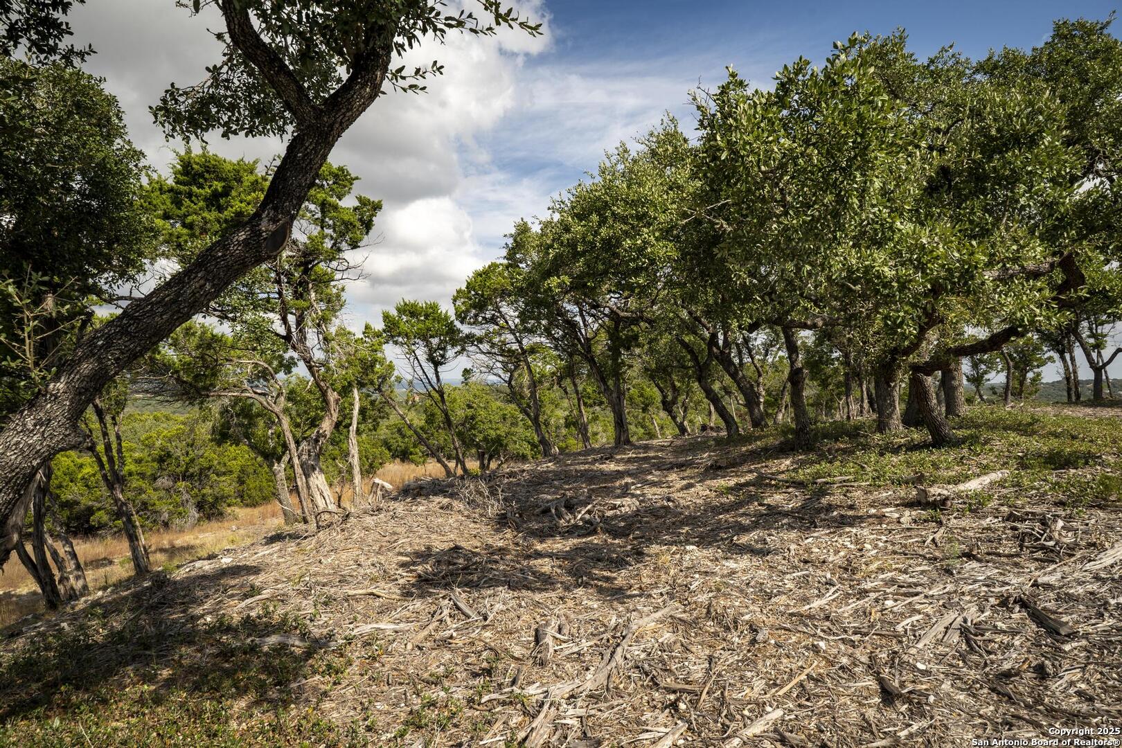 322 Mitchell Drive Spring Branch, TX 78070 - Photo 14 of 31 a backyard of a house with lots of green space