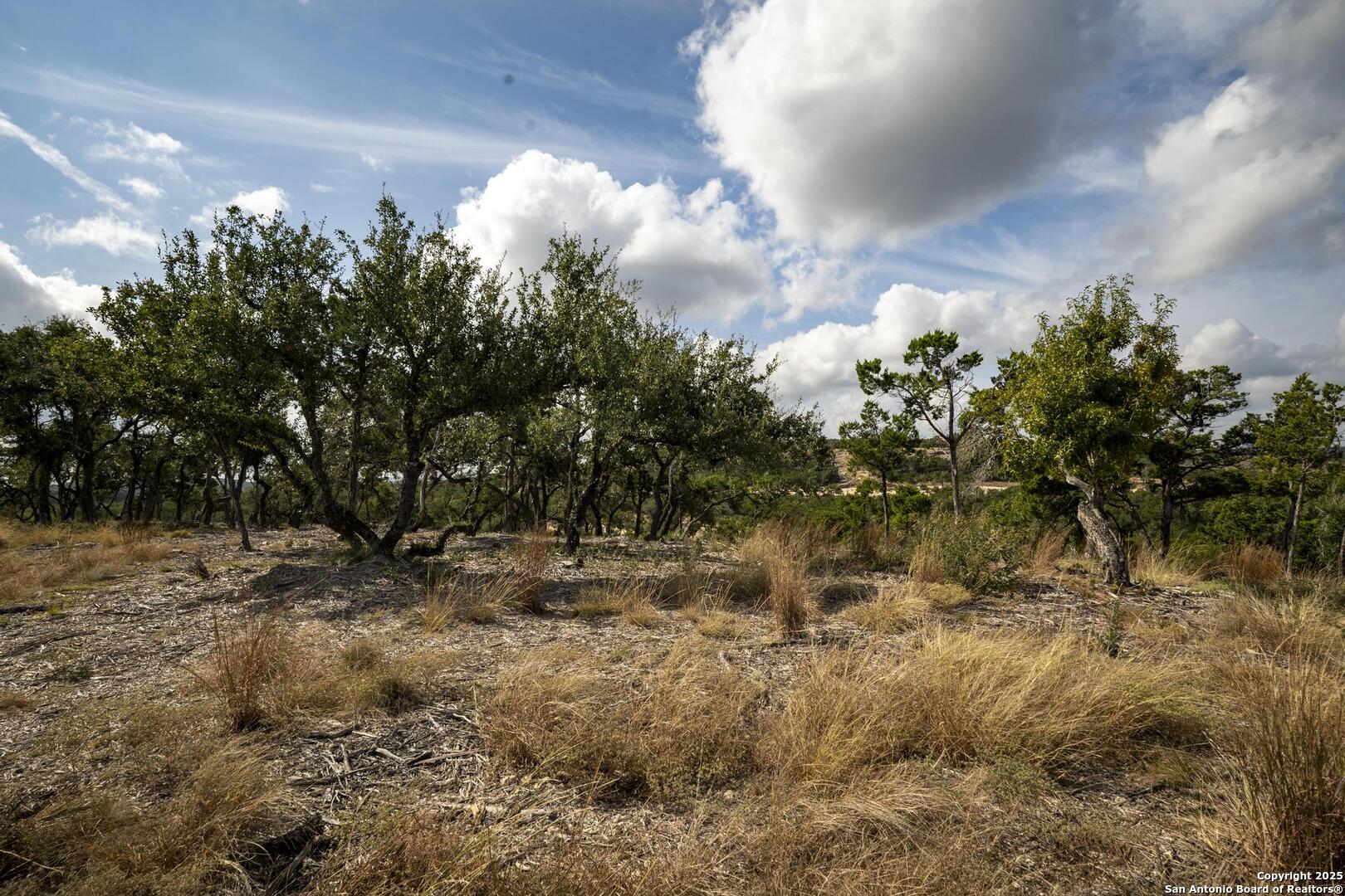 322 Mitchell Drive Spring Branch, TX 78070 - Photo 15 of 31 a view of a lake with lots of trees