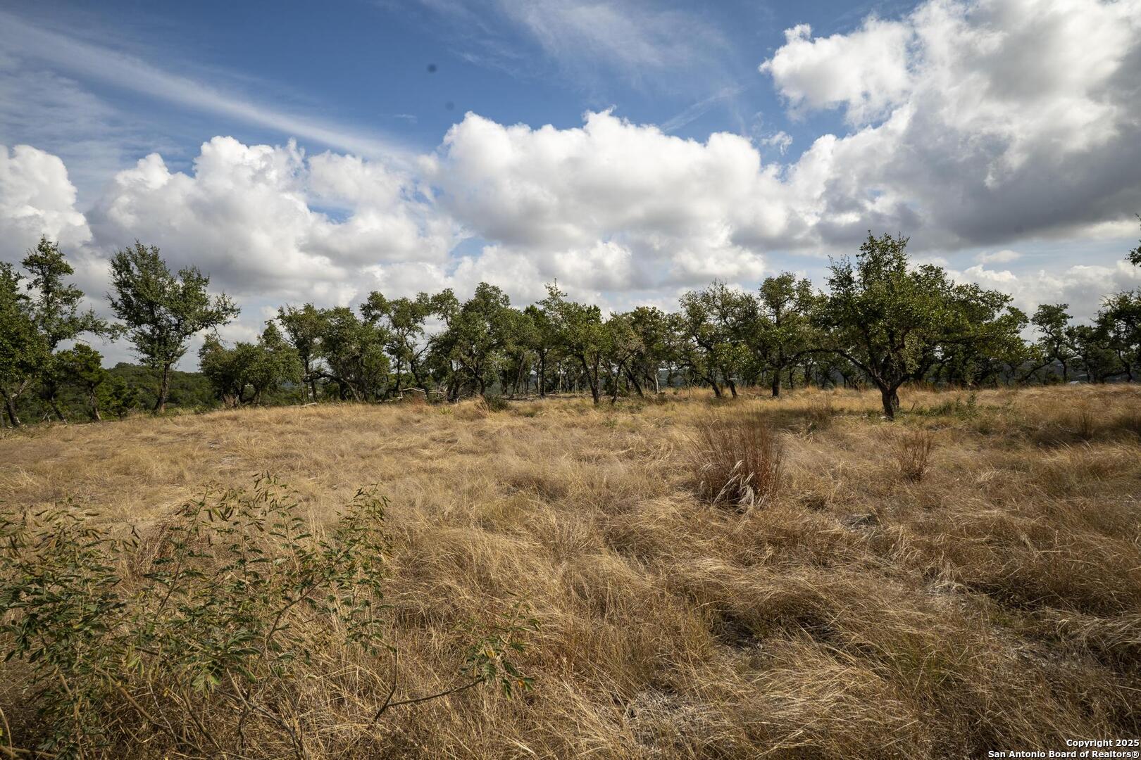 322 Mitchell Drive Spring Branch, TX 78070 - Photo 16 of 31 a view of a yard