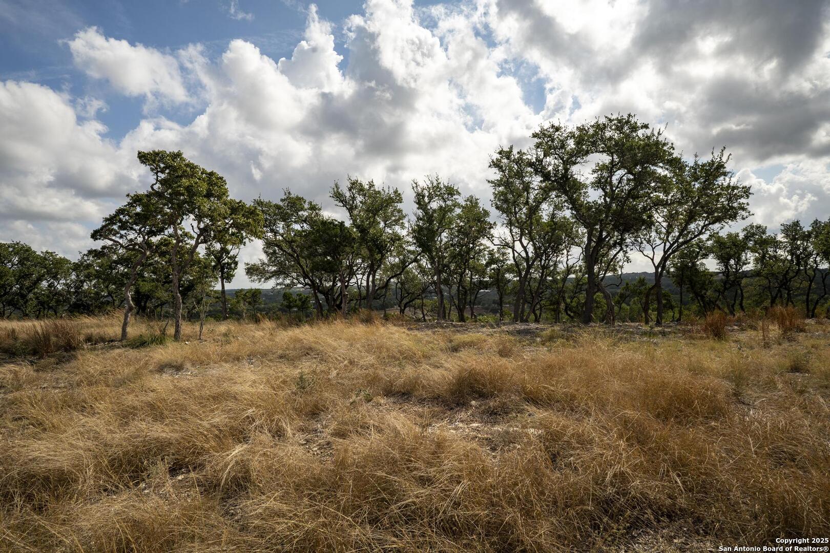 322 Mitchell Drive Spring Branch, TX 78070 - Photo 17 of 31 a view of a yard with a tree