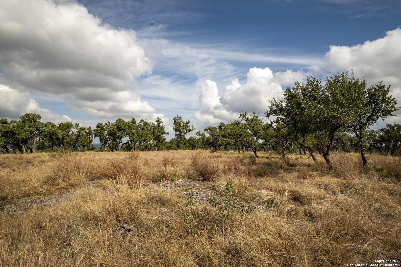 322 Mitchell Drive Spring Branch, TX 78070 - Photo 18 of 31 a view of lake with green space