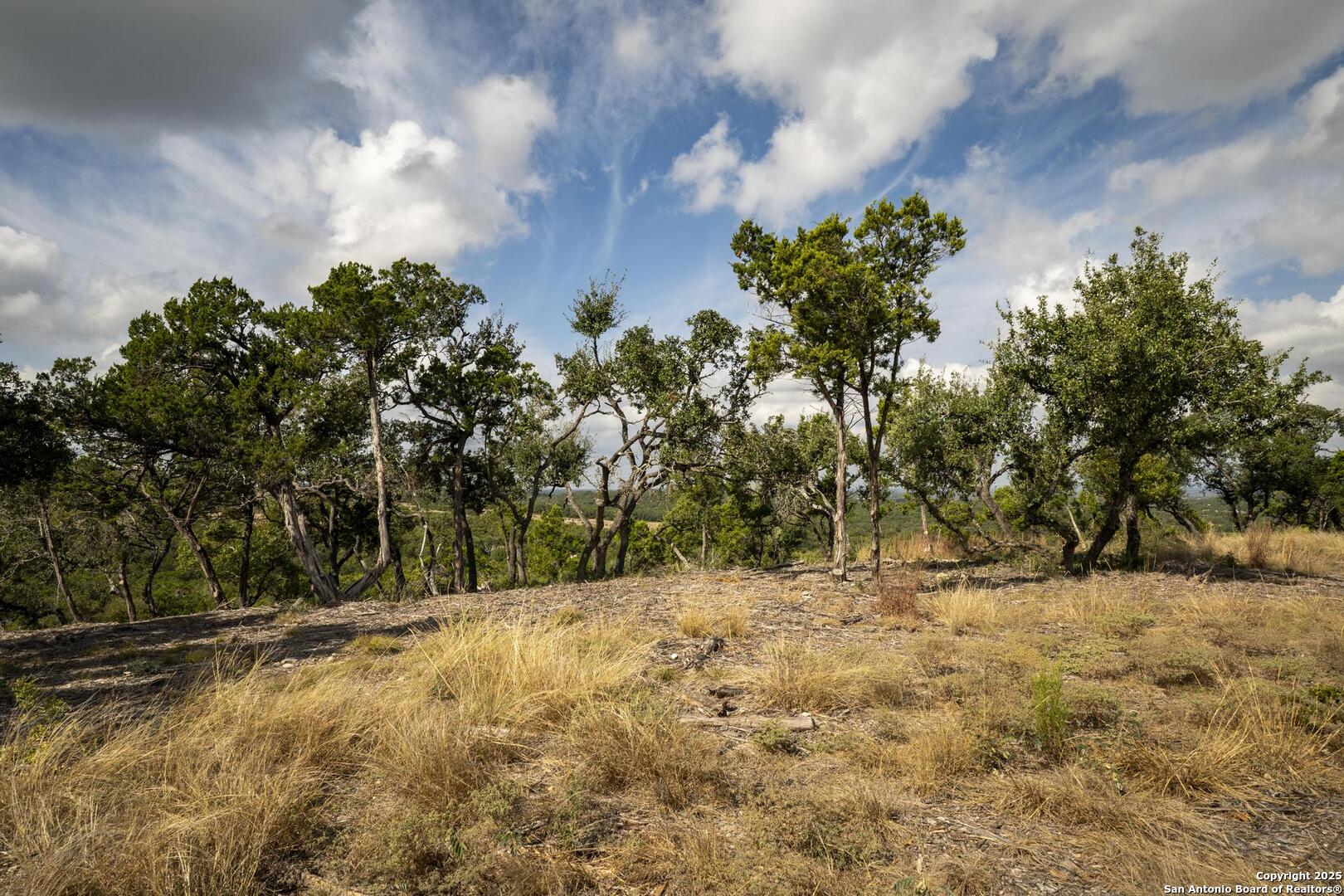 322 Mitchell Drive Spring Branch, TX 78070 - Photo 19 of 31 a view of a yard covered with snow in the yard