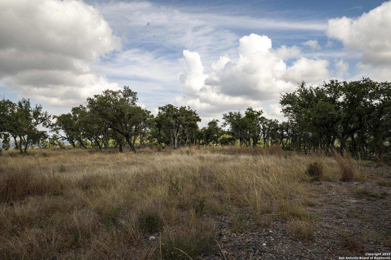 322 Mitchell Drive Spring Branch, TX 78070 - Photo 20 of 31 a view of a yard