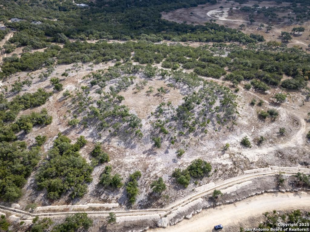 322 Mitchell Drive Spring Branch, TX 78070 - Photo 2 of 31 a view of a yard with plants and large trees