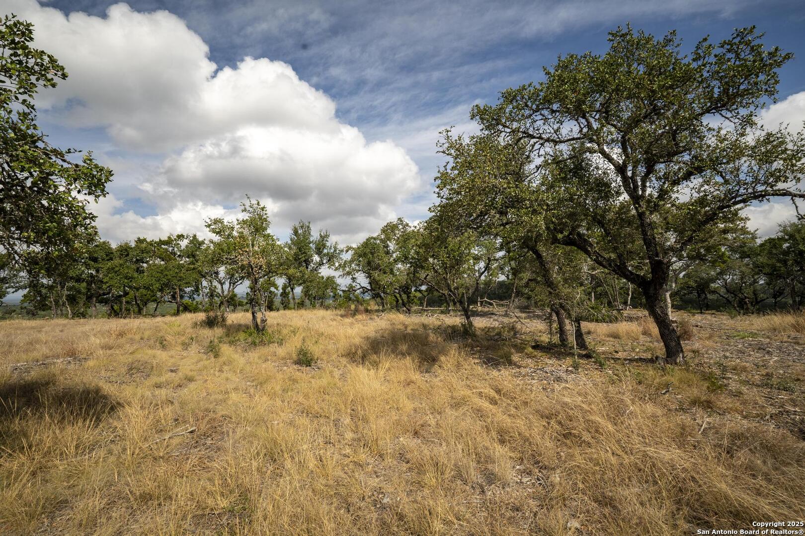 322 Mitchell Drive Spring Branch, TX 78070 - Photo 22 of 31 a view of a yard with a tree