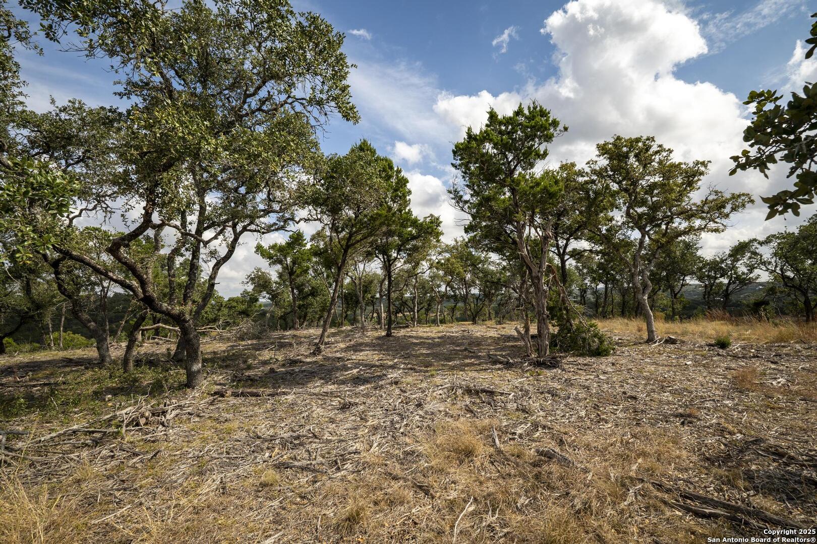 322 Mitchell Drive Spring Branch, TX 78070 - Photo 23 of 31 a backyard of a house with large trees