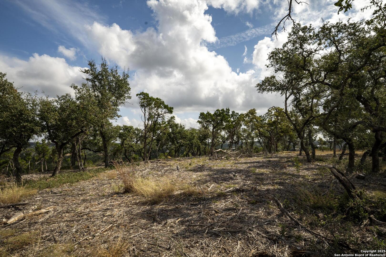 322 Mitchell Drive Spring Branch, TX 78070 - Photo 24 of 31 a view of a yard with trees
