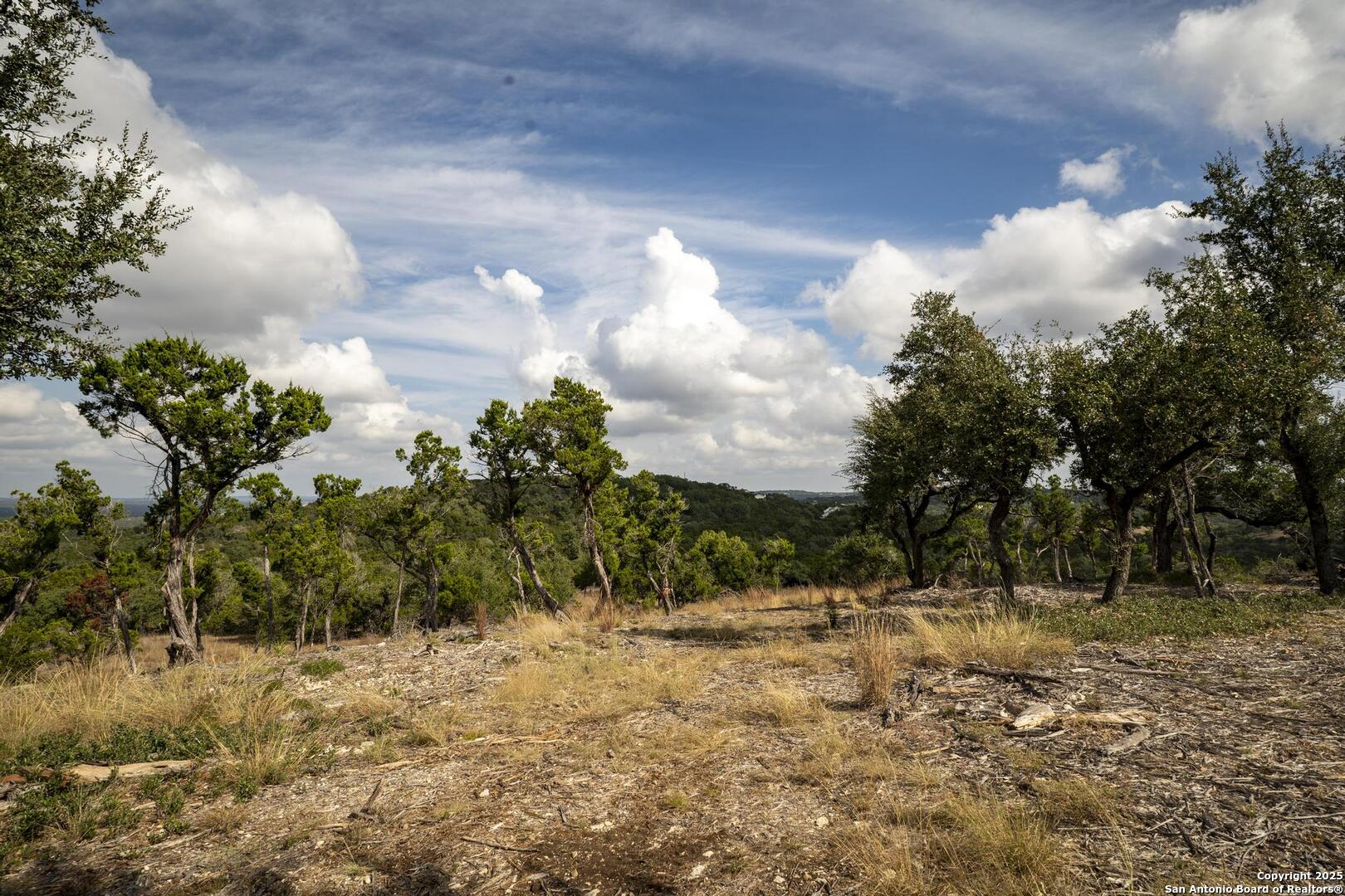 322 Mitchell Drive Spring Branch, TX 78070 - Photo 25 of 31 a view of swimming pool with a yard
