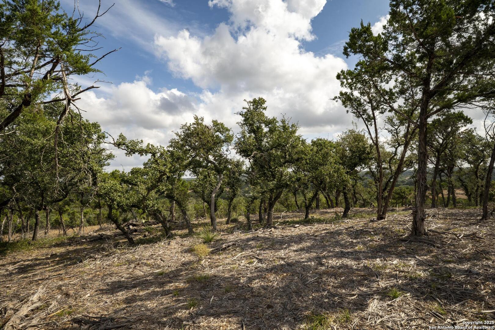 322 Mitchell Drive Spring Branch, TX 78070 - Photo 26 of 31 a view of outdoor space with trees