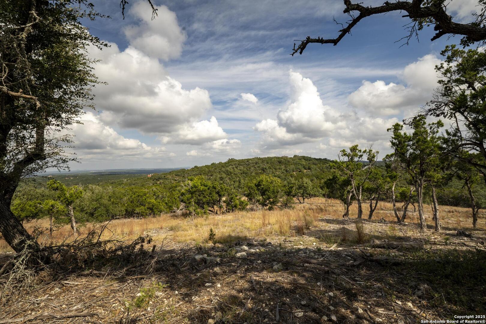 322 Mitchell Drive Spring Branch, TX 78070 - Photo 27 of 31 a view of a yard with wooden fence